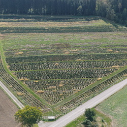 Drohne Bilder